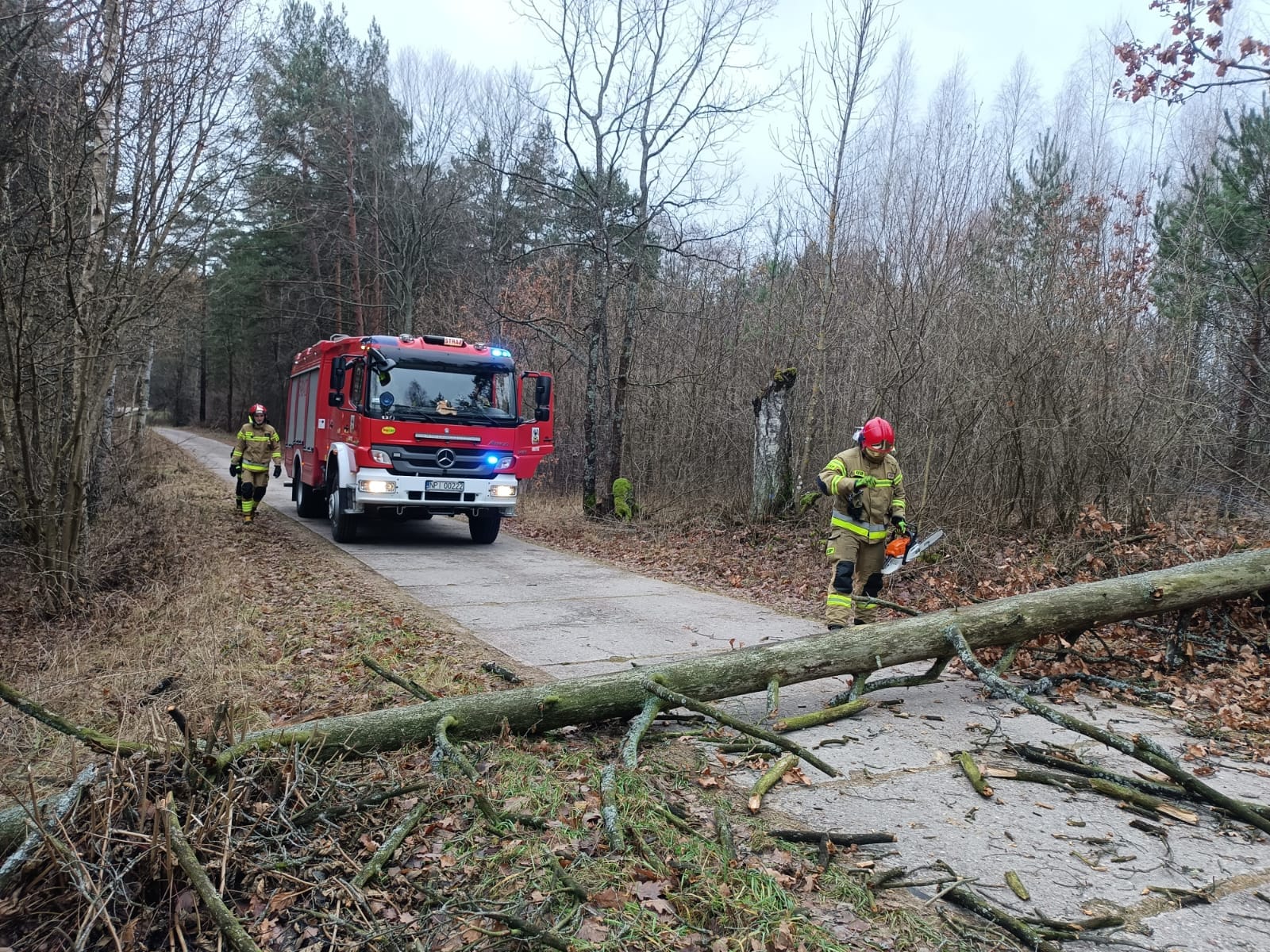 Akcja OSP Orzysz: Usunięcie powalonego drzewa na drodze Strzelniki - Kamieńskie